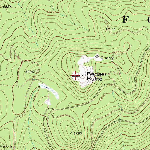 Topographic Map of Badger Butte, OR