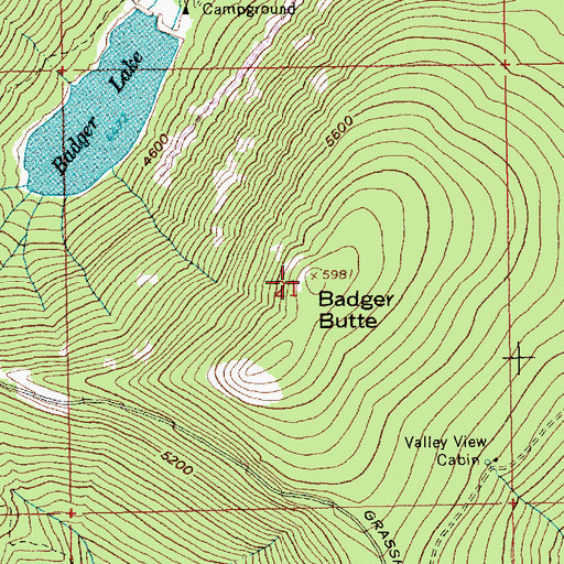 Topographic Map of Badger Butte, OR