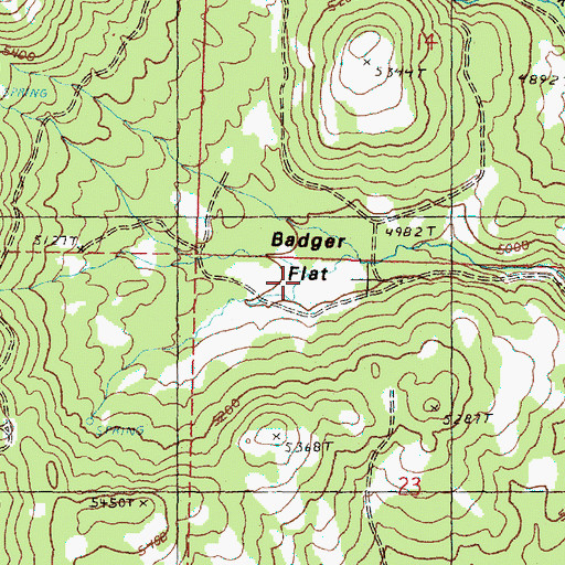 Topographic Map of Badger Flat, OR