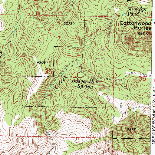 Topographic Map of Badger Hole Spring, OR