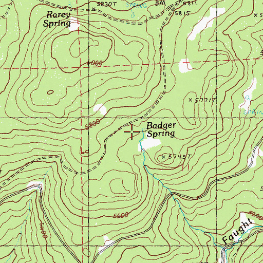 Topographic Map of Badger Spring, OR