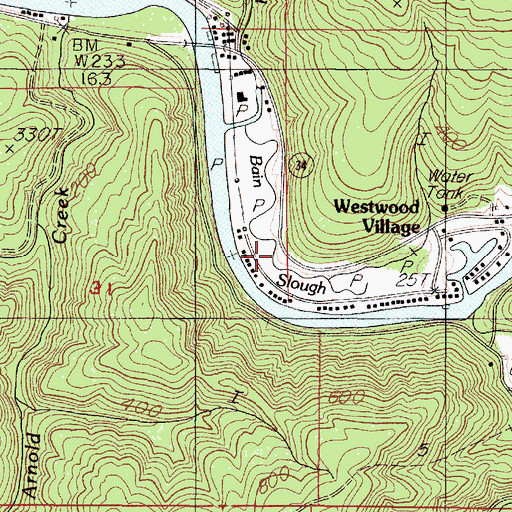 Topographic Map of Bain Slough, OR