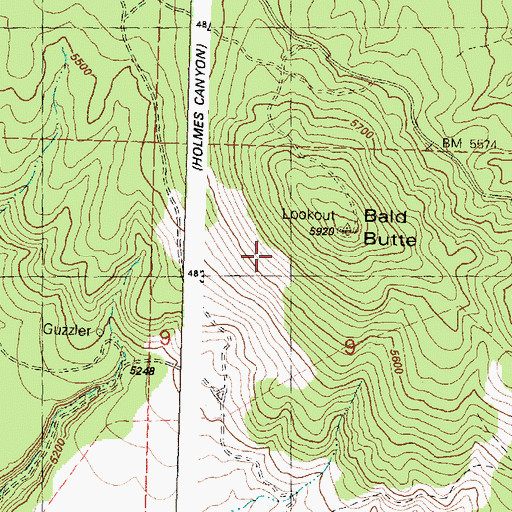 Topographic Map of Bald Butte, OR