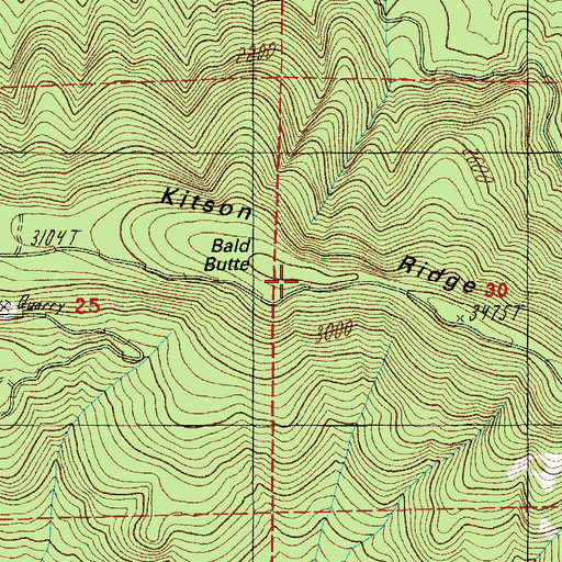 Topographic Map of Bald Butte, OR