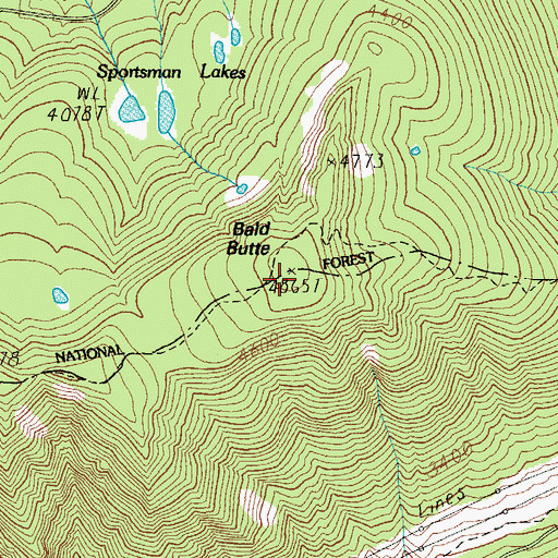 Topographic Map of Bald Butte, OR