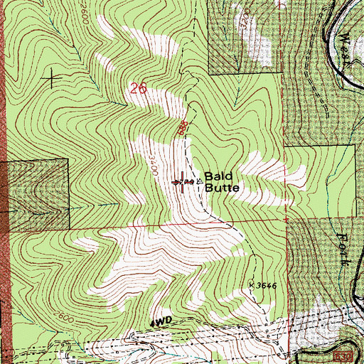 Topographic Map of Bald Butte, OR