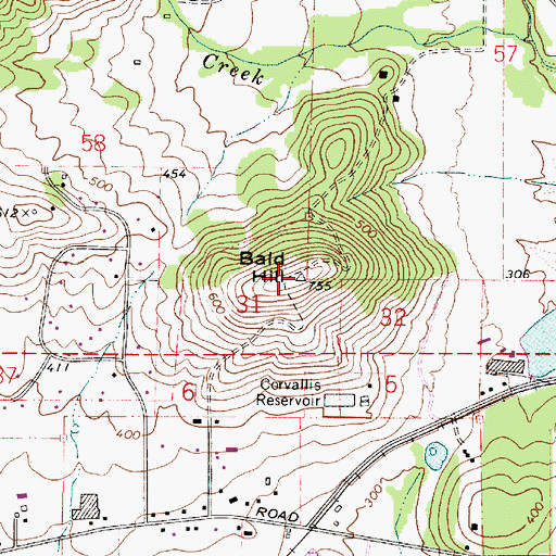 Topographic Map of Bald Hill, OR