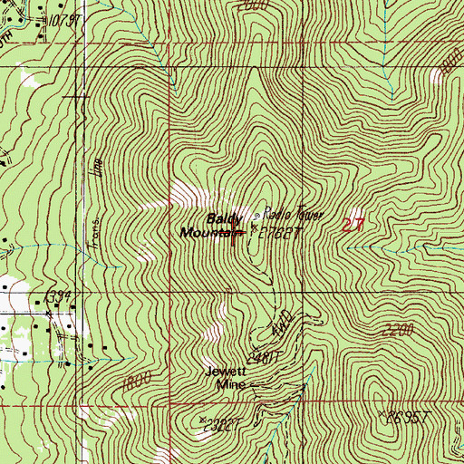 Topographic Map of Bald Mountain, OR