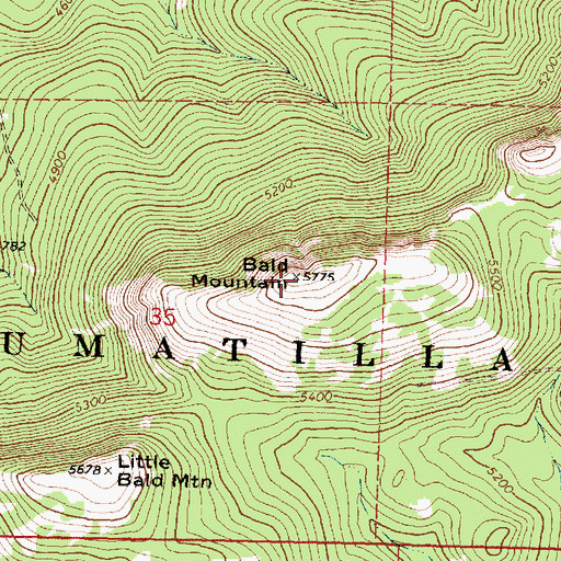 Topographic Map of Bald Mountain, OR