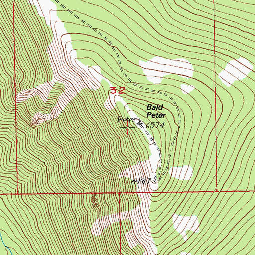 Topographic Map of Bald Peter, OR