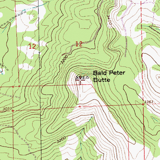 Topographic Map of Bald Peter Butte, OR