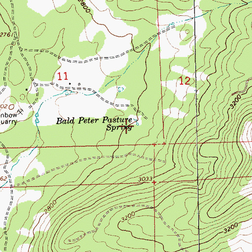 Topographic Map of Bald Peter Pasture Spring, OR