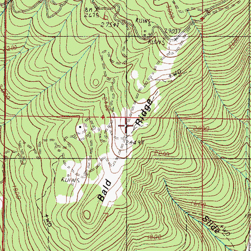 Topographic Map of Bald Ridge, OR