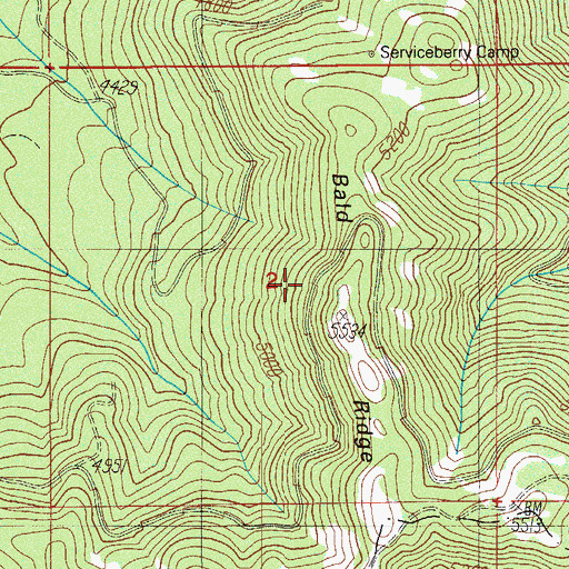 Topographic Map of Bald Ridge, OR