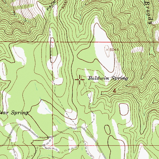 Topographic Map of Baldwin Spring, OR