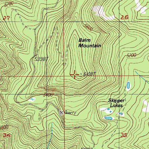 Topographic Map of Balm Mountain, OR