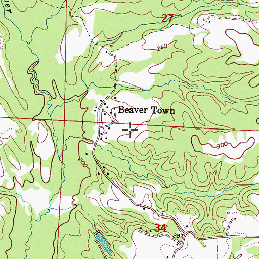 Topographic Map of Beaver Town, AL