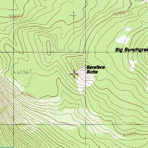 Topographic Map of Bareface Butte, OR