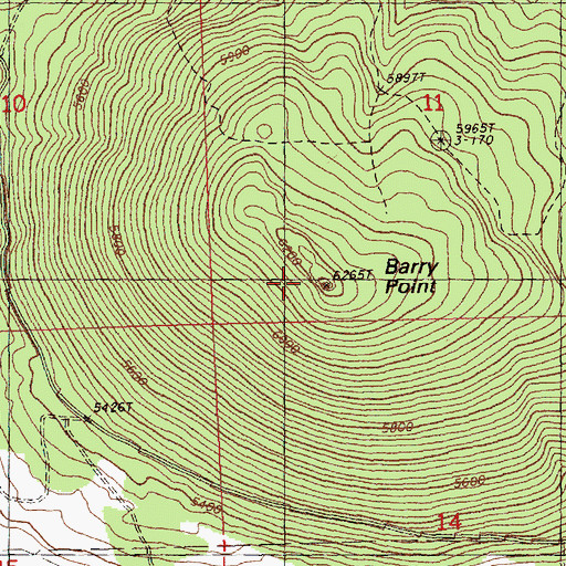 Topographic Map of Barry Point, OR