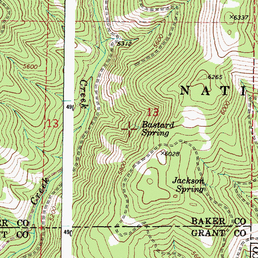 Topographic Map of Bastard Spring, OR