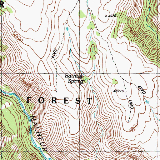 Topographic Map of Bathtub Spring, OR