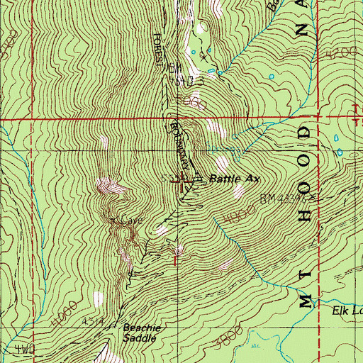 Topographic Map of Battle Ax, OR