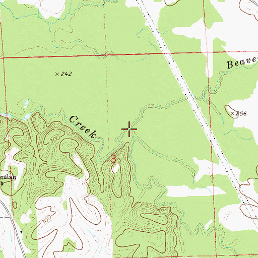 Topographic Map of Beaverdam Creek, AL