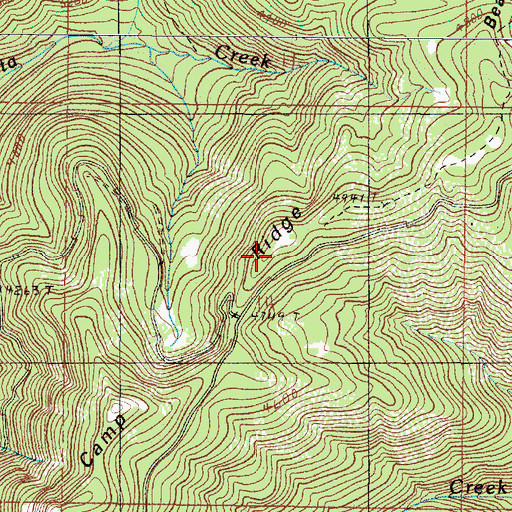 Topographic Map of Bear Camp Ridge, OR