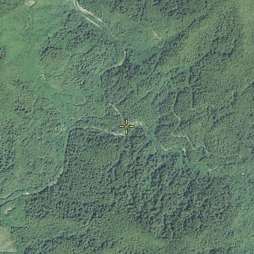 Aerial/Satellite Image of Bear Creek, OR