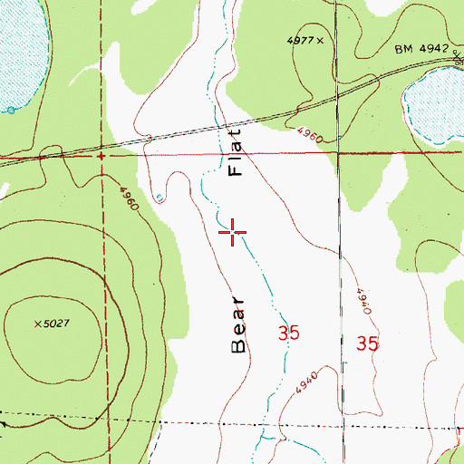 Topographic Map of Bear Flat, OR