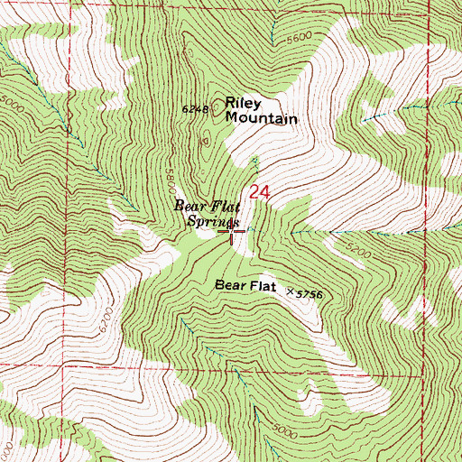Topographic Map of Bear Flat Springs, OR