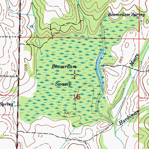 Topographic Map of Beaverdam Swamp, AL