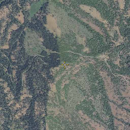 Aerial/Satellite Image of Bear Mountain, OR
