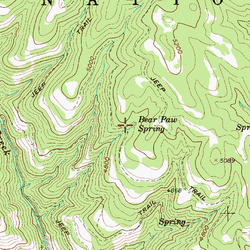 Topographic Map of Bear Paw Spring, OR