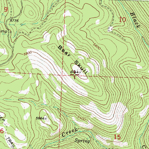 Topographic Map of Bear Skull, OR