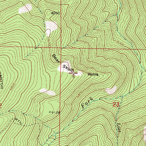 Topographic Map of Bear Skull Rims, OR