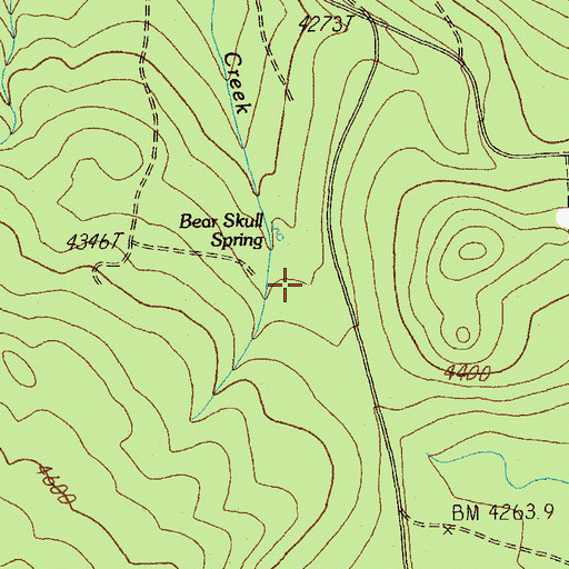 Topographic Map of Bear Skull Spring, OR