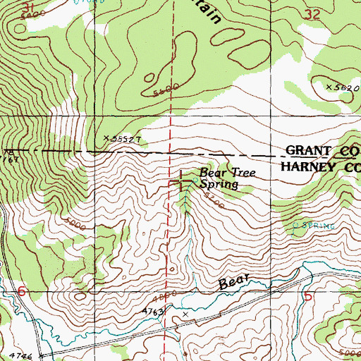 Topographic Map of Bear Tree Spring, OR