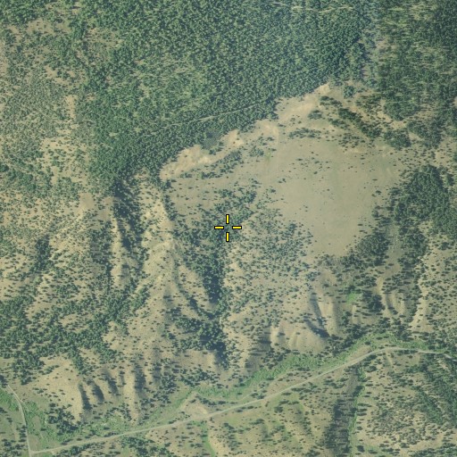 Aerial/Satellite Image of Bear Tree Spring, OR