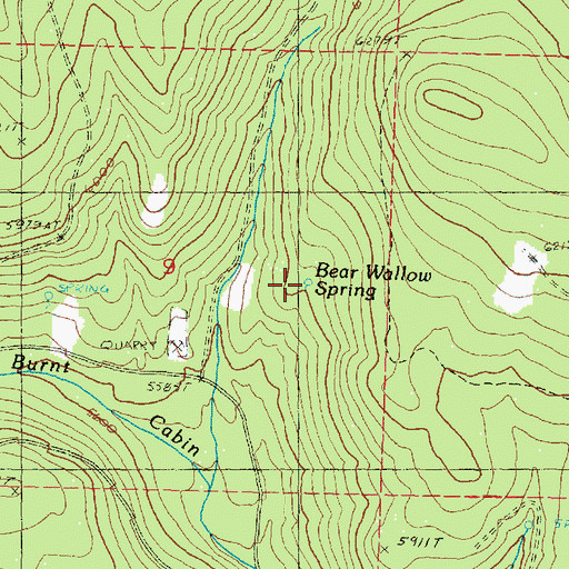 Topographic Map of Bear Wallow Spring, OR