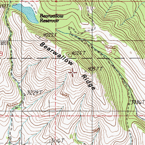 Topographic Map of Bearwallow Ridge, OR