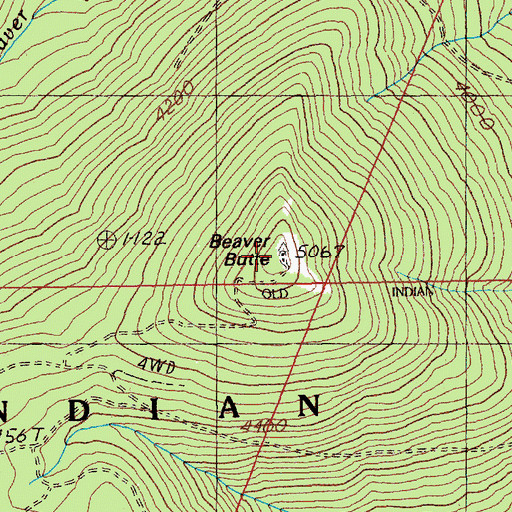 Topographic Map of Beaver Butte, OR