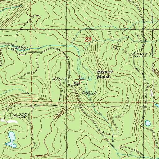 Topographic Map of Beaver Marsh, OR