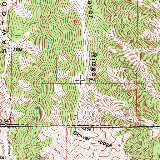 Topographic Map of Beaver Ridge, OR