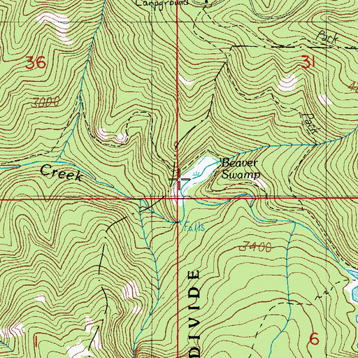 Topographic Map of Beaver Swamp, OR