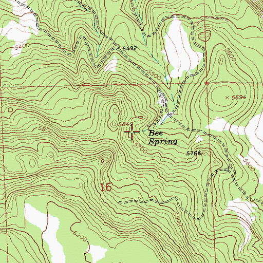 Topographic Map of Bee Spring, OR