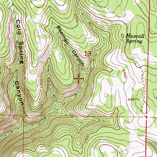 Topographic Map of Beeman Canyon, OR