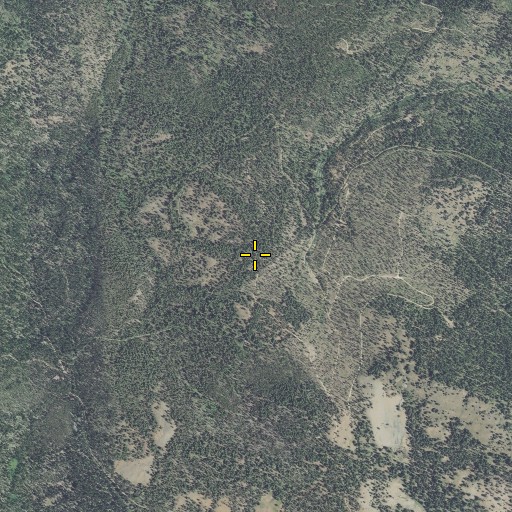 Aerial/Satellite Image of Belcher Mine, OR