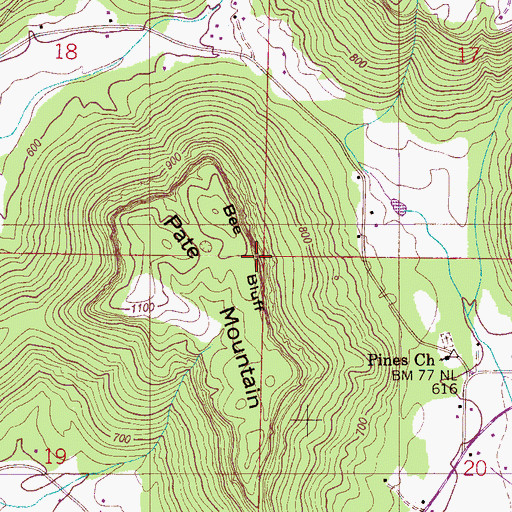Topographic Map of Bee Bluff, AL