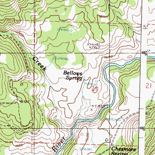 Topographic Map of Bellows Spring, OR